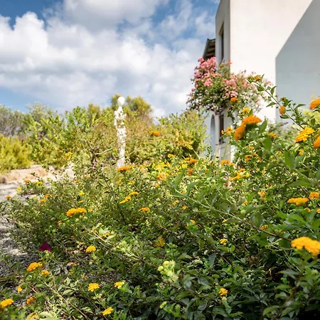 Villa Sealight - Vista E Piscina